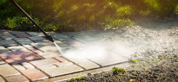 Best Soft Washing  in Loomis, CA
